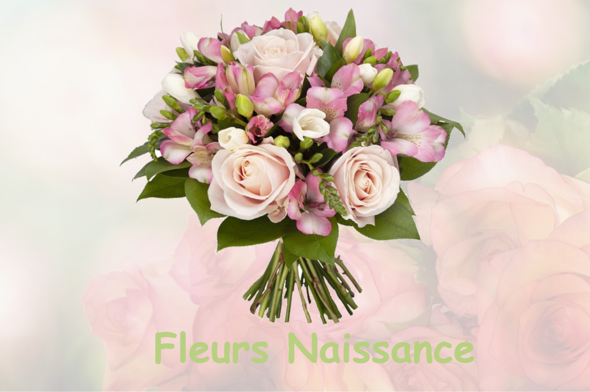 fleurs naissance LA-CHAPELLE-SUR-FURIEUSE