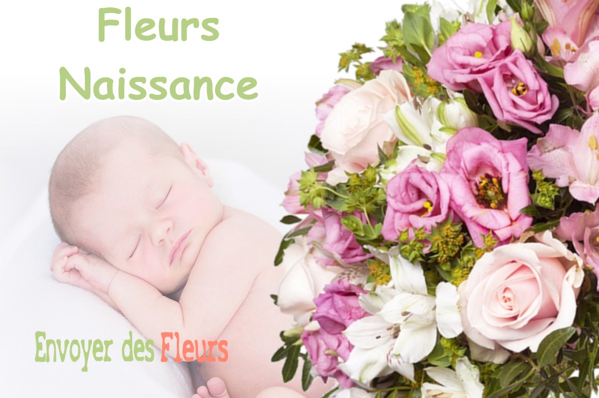 lIVRAISON FLEURS NAISSANCE à LA-CHAPELLE-SUR-FURIEUSE